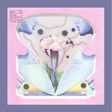 Load image into Gallery viewer, Avril