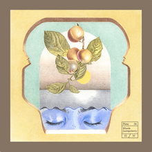 Load image into Gallery viewer, Novembre