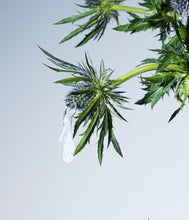 Load image into Gallery viewer, Pâme drops