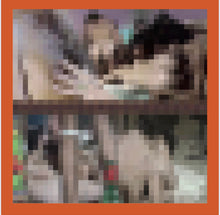 Load image into Gallery viewer, Sona Doğru (Closer to climax)