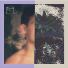 Load image into Gallery viewer, Polaroid Collage XVI (2019)