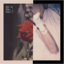 Load image into Gallery viewer, Polaroid Collage IV (2018)