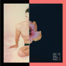 Load image into Gallery viewer, Polaroid Collage XXXV (2020)